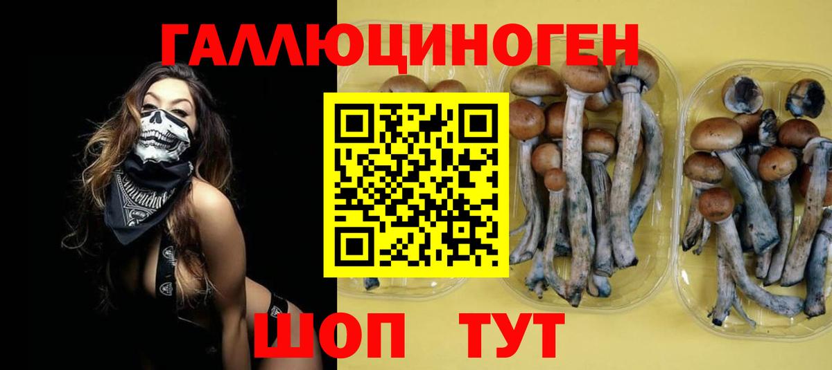 Галлюциногенные грибы Psilocybe  Псилоцибиновые грибы прущие грибы  Лыткарино  где можно купить   Вход с VPN 